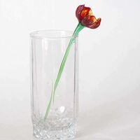 Glass Poppy