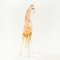 Glass Giraffe Figurine in Glass Figurines Wild  Animals category