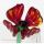 Glass Poppy