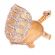 Faberge Box Gold Turtle