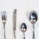 Flatware Set Governer