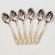 Tea Spoons Set