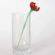 Glass Poppy
