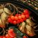 Zhostovo Tray Ash-Berries on Black in Home Decor Metal trays category