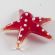 Red Starfish in Glass Figurines Miniature Figurines category