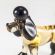 Glass Brown Poodle in Glass Figurines Dogs category
