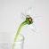 Glass Clear Narcissus in Glass Figurines Flowers category