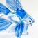 Blue Glass Fish in Glass Figurines Sea Life Creatures category