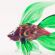 Glass Fish Figurine in Glass Figurines Sea Life Creatures category