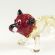 Glass Walking Lion Miniature in Glass Figurines Wild  Animals category