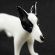 White Glass Bull Terrier in Glass Figurines Dogs category