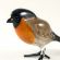 Glass Bullfinch Bird Figurine in Glass Figurines Birds category