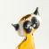 Handsome Siamese Cat Figurine in Glass Figurines Cats category