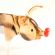 Glass Pig Figure in Glass Figurines Farm Animals category