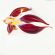 Glass Red Fish Figure in Glass Figurines Sea Life Creatures category