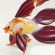 Glass Red Fish Figure in Glass Figurines Sea Life Creatures category