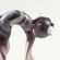 Glass Black Scared Cat in Glass Figurines Cats category