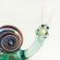 Glass Funny Snail in Glass Figurines Insects category