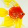 Glass Golden Fish Figure in Glass Figurines Sea Life Creatures category