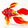 Red Glass Fish in Glass Figurines Sea Life Creatures category