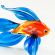 Little Glass Fish Figure in Glass Figurines Sea Life Creatures category