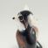 Glass Raccoon Figure in Glass Figurines Wild  Animals category