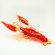 Glass Red Crayfish in Glass Figurines Sea Life Creatures category
