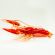 Glass Red Crayfish in Glass Figurines Sea Life Creatures category