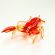 Glass Red Crayfish in Glass Figurines Sea Life Creatures category