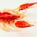 Glass Red Crayfish in Glass Figurines Sea Life Creatures category