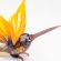 Blown Glass Hummingbird Figure in Glass Figurines Birds category