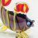 Glass Black Fish in Glass Figurines Sea Life Creatures category