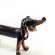 Glass Black Dachshund in Glass Figurines Dogs category