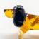 Basset Hound Figurine in Glass Figurines Dogs category