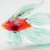 Blown Glass Green Fish in Glass Figurines Sea Life Creatures category
