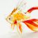 Red Glass Fish Telescope in Glass Figurines Sea Life Creatures category