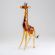 Long Neck Giraffe in Glass Figurines Wild  Animals category