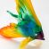 Glass Colorful Fish in Glass Figurines Sea Life Creatures category