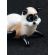 Small Glass Cat in Glass Figurines Cats category