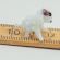 Glass  Sheep Figurine in Glass Figurines Miniature Figurines category