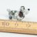 Tiny Glass Doggy Figurine in Glass Figurines Miniature Figurines category
