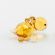 Brown Hippo Mini Figurine in Glass Figurines Miniature Figurines category