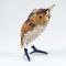 Glass Long-Eared Owl Figurine in Glass Figurines Birds category