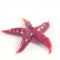 Glass Star Fish Red in Glass Figurines Sea Life Creatures category