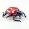 Glass Ladybird Figurine Red Color in Glass Figurines Insects category
