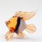 Golden Fish Figure in Glass Figurines Sea Life Creatures category