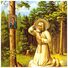 Icon Saint Seraphim of Sarov