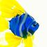 Blue and Yellow Fish Figurine in Glass Figurines Sea Life Creatures category